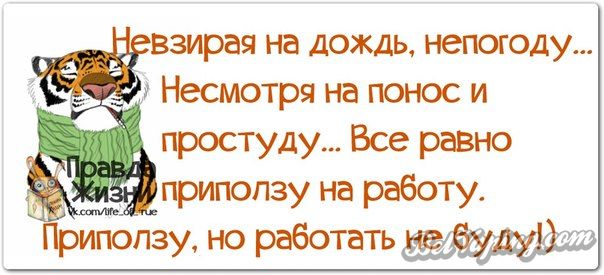 original (3).jpg