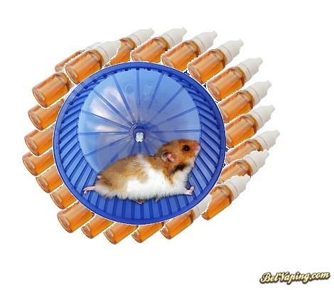 hamster_1.jpg