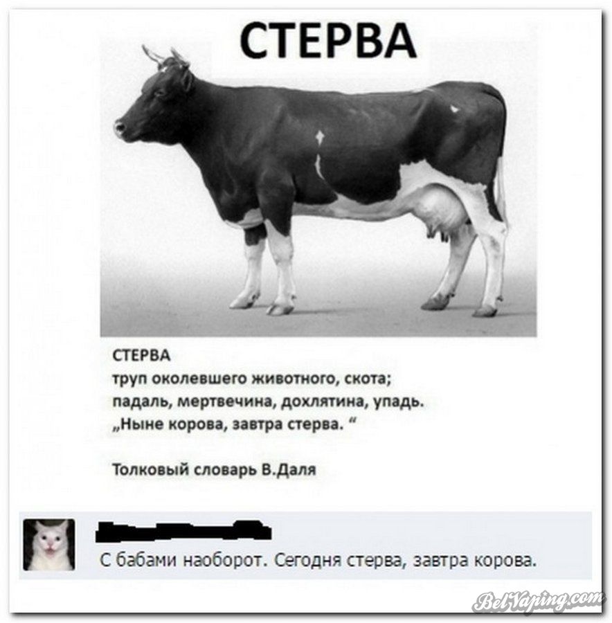 original (3).jpg