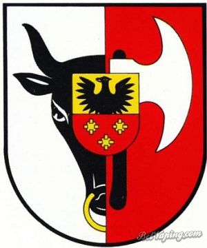 300px-Leszno2.jpg