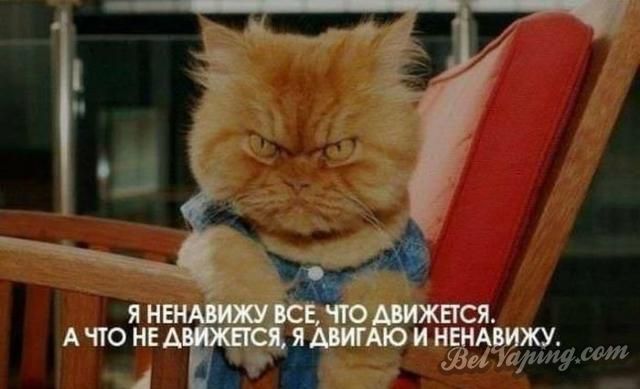original (5).jpg
