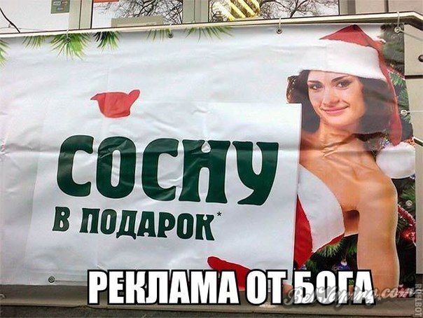 1482118134_kartinki-s-nadpisyami-4.jpg