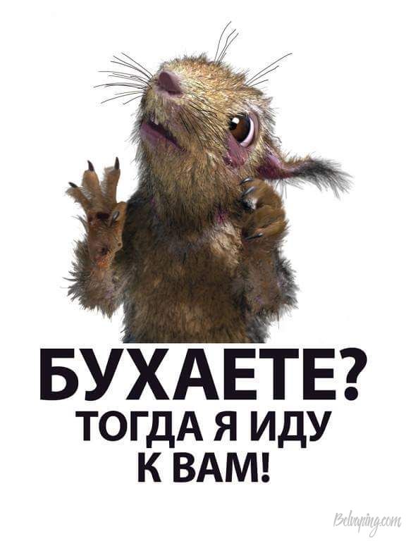 received_945890622179032.jpeg