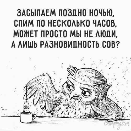 original (3).jpg