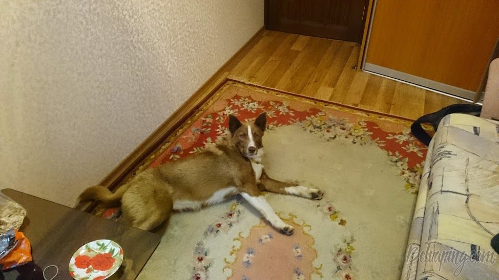Такой она была в первый день.