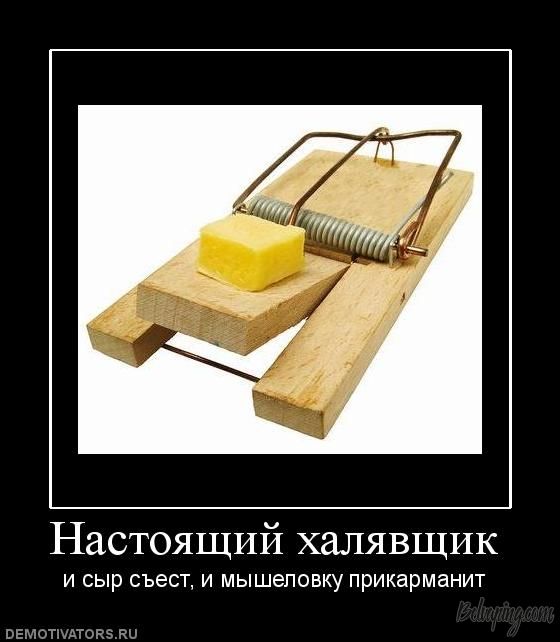 174824_nastoyaschij-halyavschik.jpg