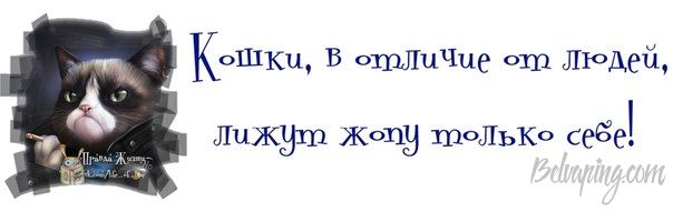original (1).jpg