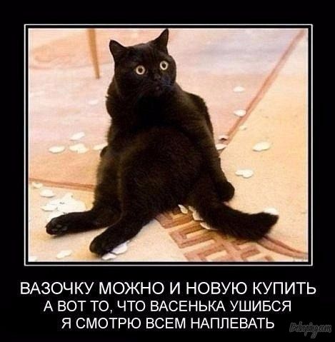 original (4).jpg