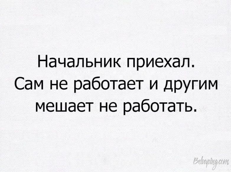 original (2).jpeg