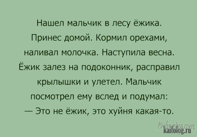 original (1).jpg