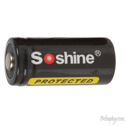 soshine 1.jpg
