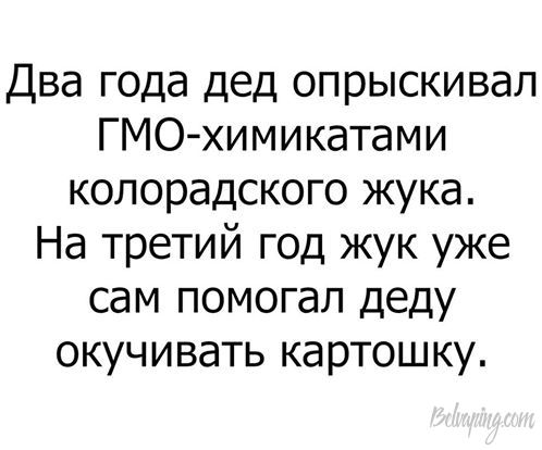 original (2).jpeg