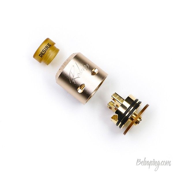 desire_rabies_rda_5_.jpg
