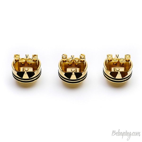 desire_rabies_rda_6_.jpg