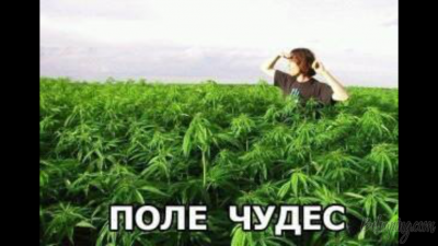 IMG_0190.PNG