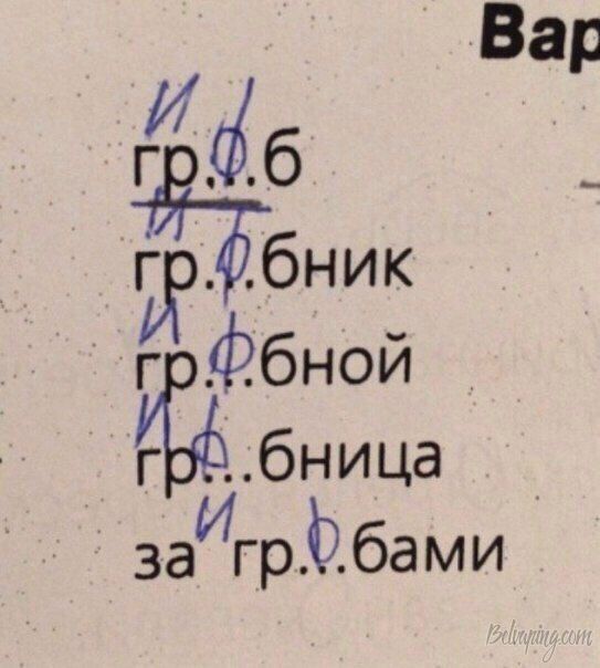 0015.jpg