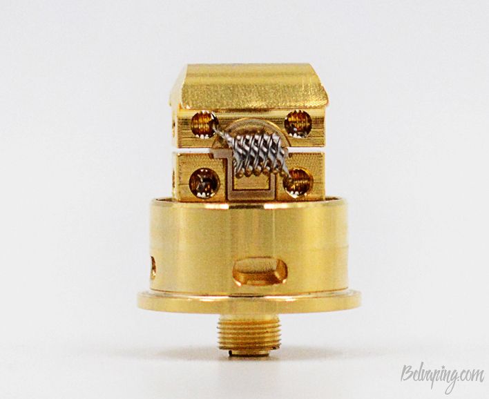 Ystar_Legend_RDA_4.jpg