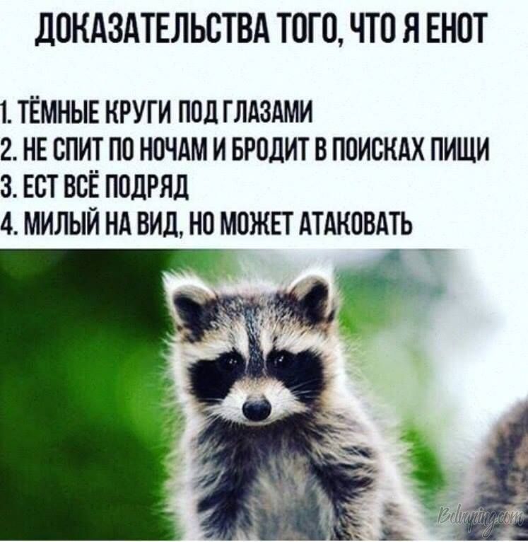 kj10.jpg