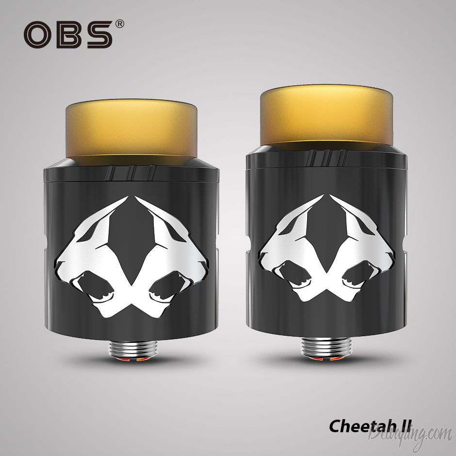 OBS_Cheetah_II_RDA3.jpg