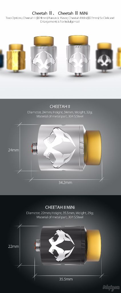 OBS_Cheetah_II_RDA9.jpg