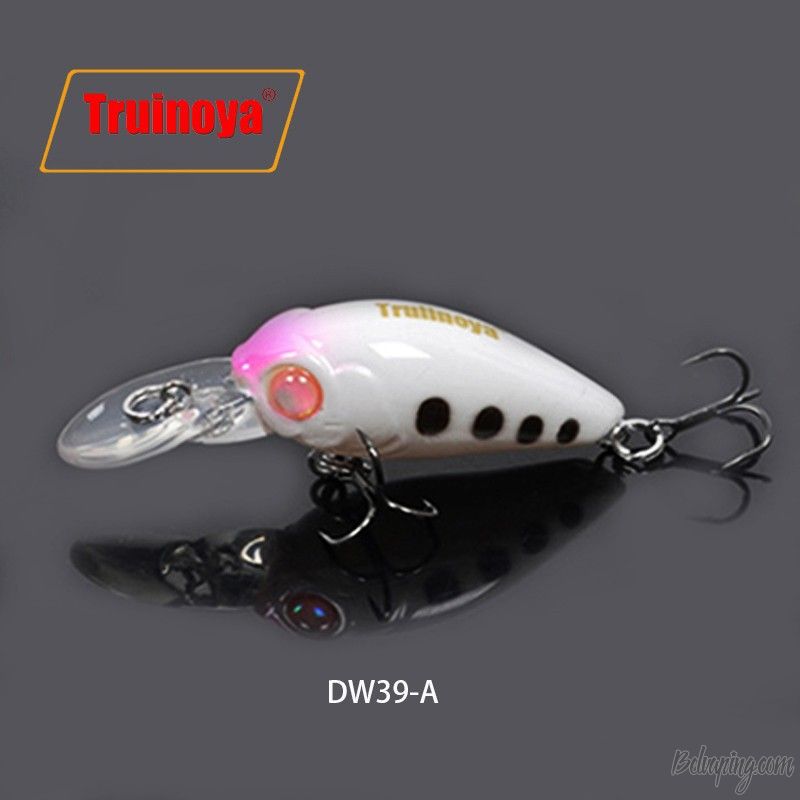 DW39-A.jpg