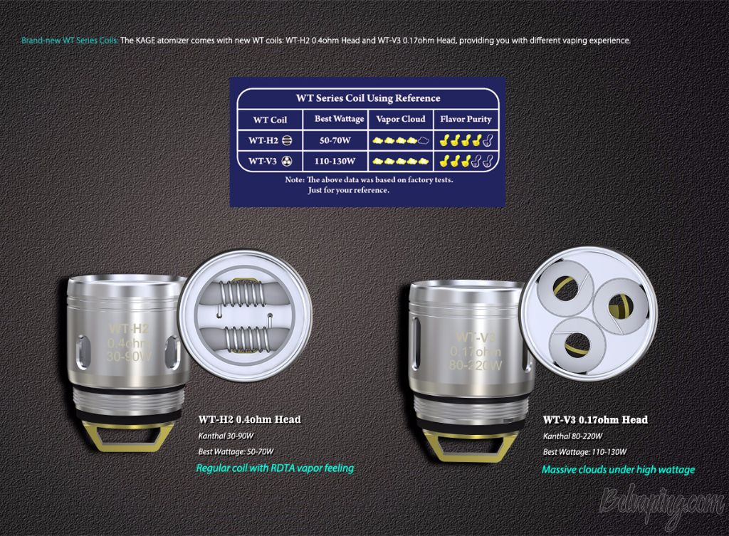 Wismec_EXO_SKELETON_ES300_8.jpg