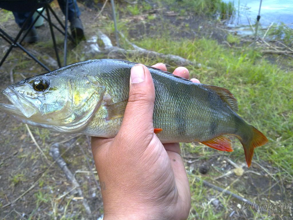 01072012827.jpg