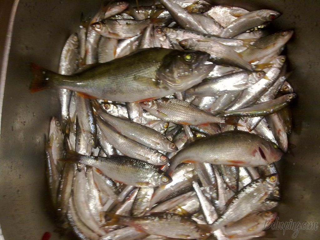 02092012912.jpg
