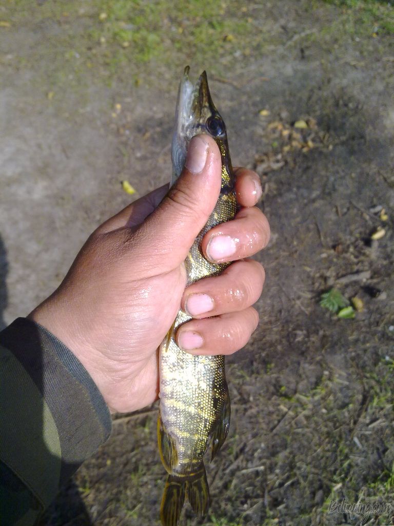 11092012922.jpg