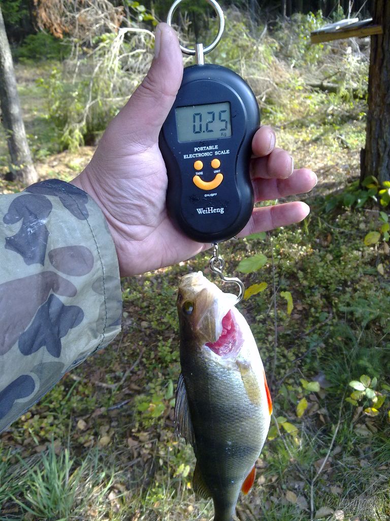 14102012961.jpg