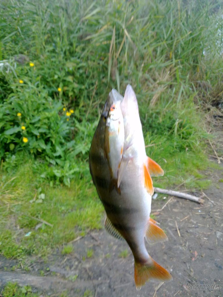 20082013033.jpg