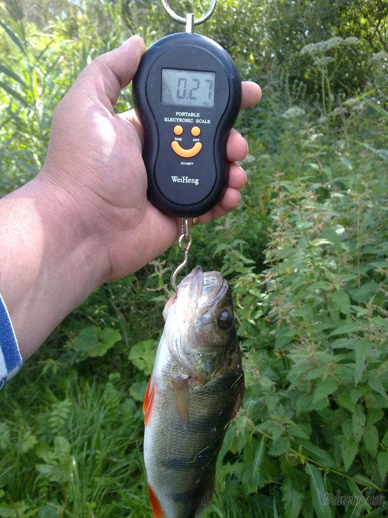 27072013015.jpg