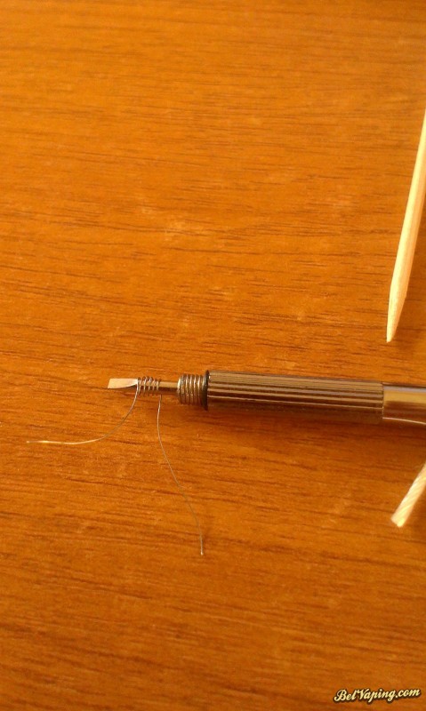 IMAG0443.jpg