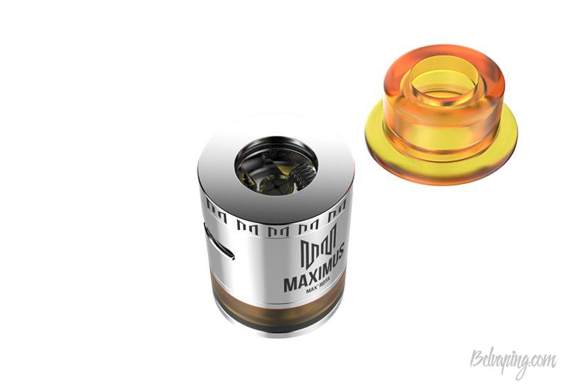 Oumier_Maximus_Max_RDTA_5.jpg