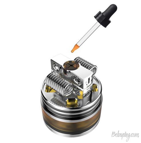 Oumier_Maximus_Max_RDTA_6.jpg