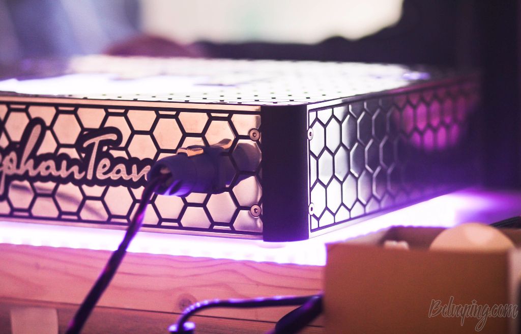 svKsGjVGX_Y.jpg