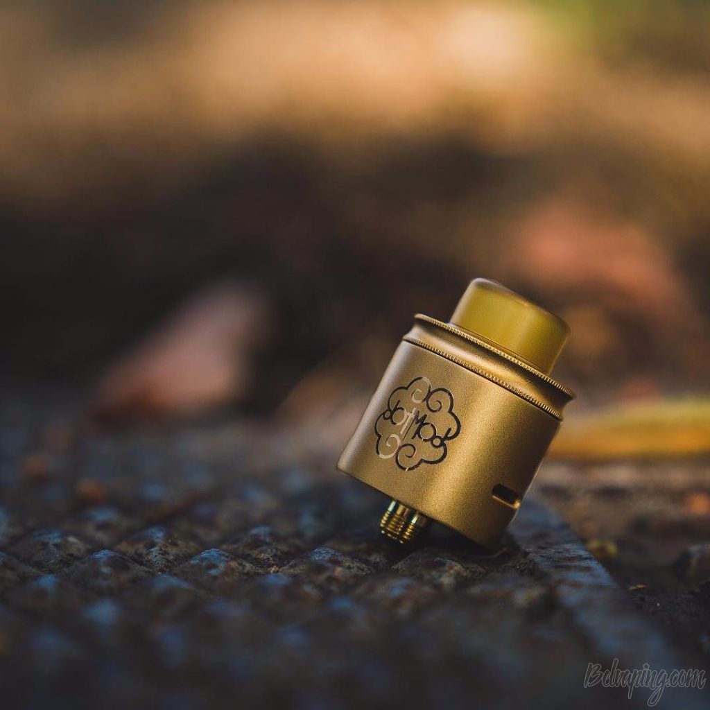 Dotmod_dotRDA24_5.jpg