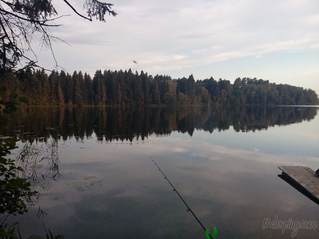 IMG_20170817_065425.jpg