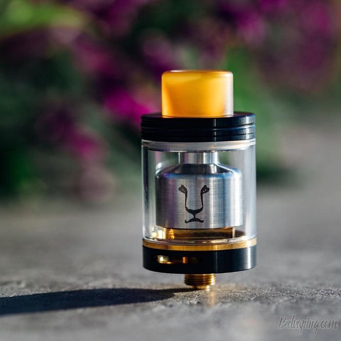 KAEES_Solomon_RTA_6.jpg