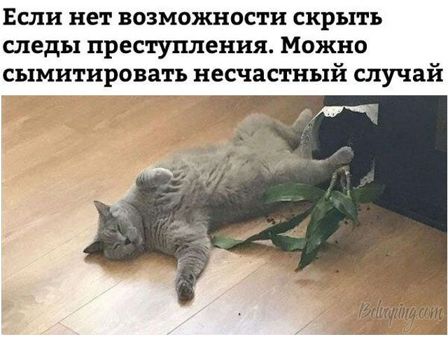 original (1).jpeg