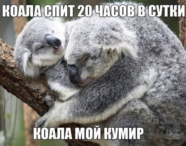 original (2).jpg