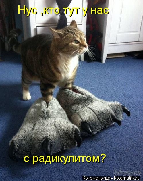 original (7).jpg