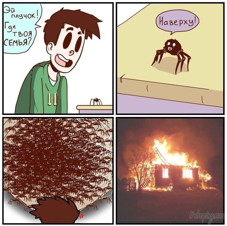 0009.jpg