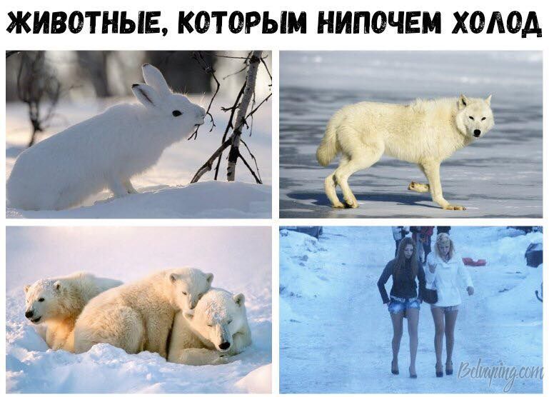 00015.jpg