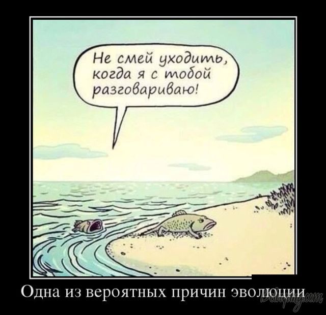 original (1).jpeg