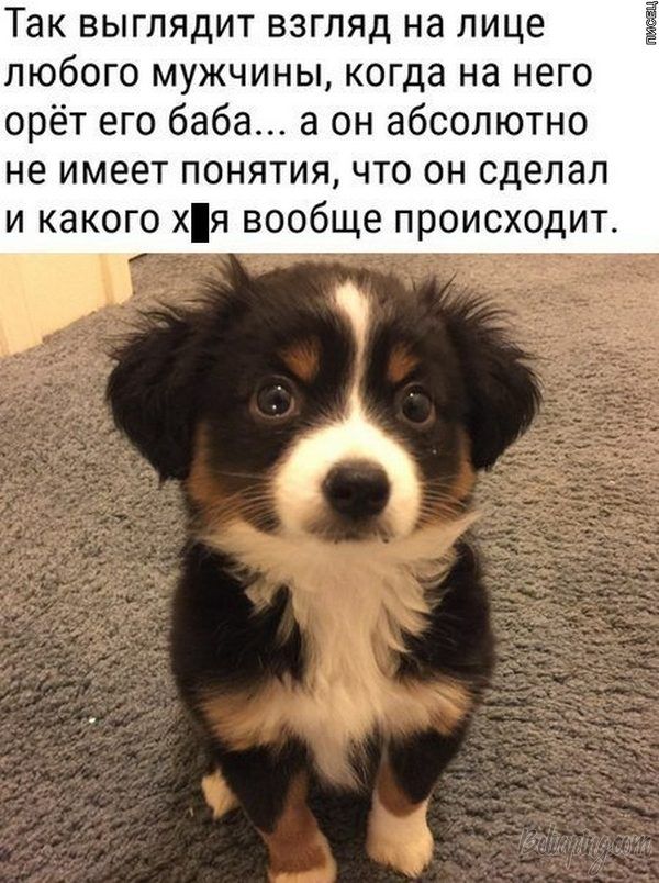 original (2).jpg