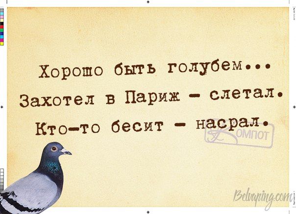 original (2).jpg