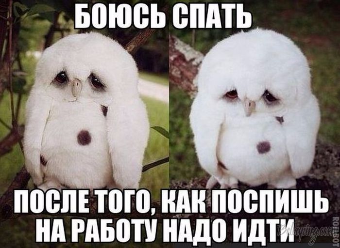 original (2).jpg