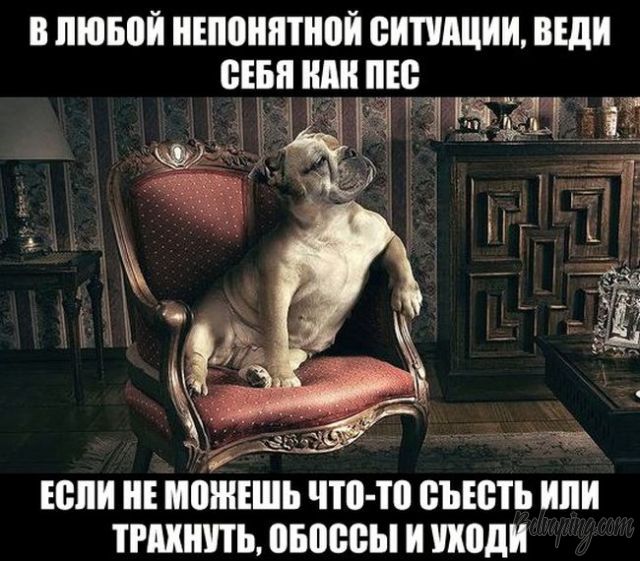 original (2).jpg