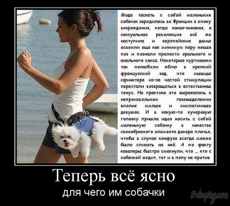 original (1).jpg